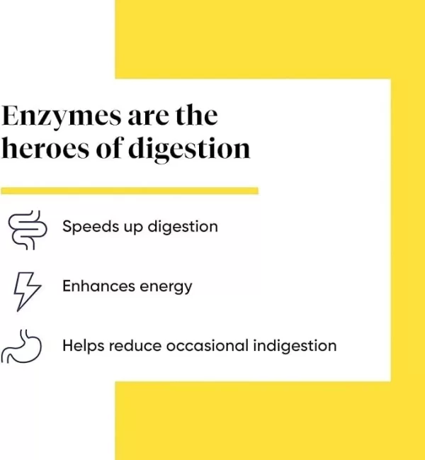Enzymedica Digest Basic 90 Capsules Vegan & Kosher - Image 3