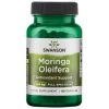 Swanson Moringa Oleifera 400mg 60 Capsules Antioxidant Support